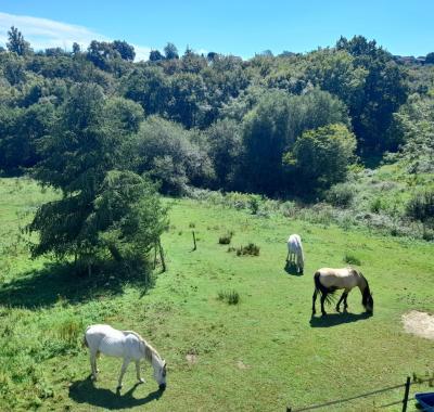 Logement insolite en pleine nature béarnaise