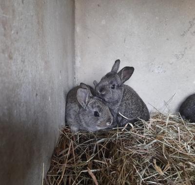 Logement insolite en pleine nature béarnaise