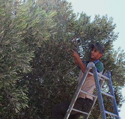 Loger chez l'habitant c'est possible