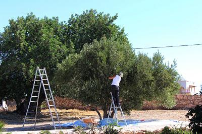 Loger chez l'habitant c'est possible