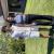 Romane
