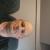 Ludovic 