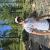 Aubin