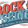Festival Rock en Seine